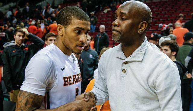 观察仓库资 观察仓库资